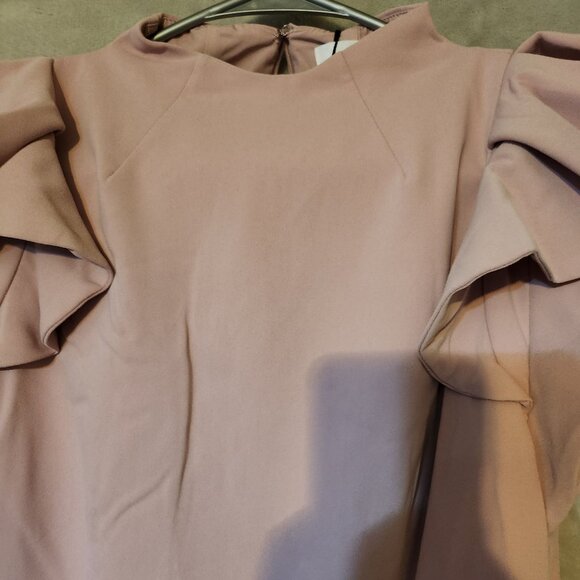 Elliatt Nordstrom Rare Chic‎ Elegant Tanner Blush Pink Ruffle Sleeve Mini Dress - Picture 4 of 8